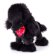 Pudlík černý Charlie, 25cm