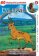 Lví král Simba 08 - DVD pošeta