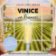 Vinice ve Francii - 2 CDmp3 (Čte Veronika Lazorčáková) - audiokniha