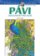 Pávi – omalovánky pro velké