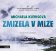 CD Zmizela v mlze (audiokniha)