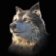 3D pohlednice Wolf Selfie Square