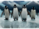 3D pohlednice Four Penguins AI