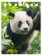 Panda notebook A7
