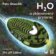 CD H2O a zkázonosný prstenec (Čte Jiří Lábus) - audiokniha