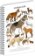 Spirálový blok Animalium - Psovité šelmy, linkovaný, A4
