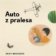 CD Auto z pralesa
