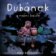 CD Dubánek a noční bouře (Čte Jan Zdražílek)) - audiokniha