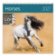 Kalendář Horses 2027 - nástěnný kalendář