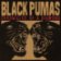 LP Black Pumas - Chronicles of a Diamond (Diamond White Vinyl)