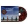 CD U2 - CARNAVAL DE LUZ STANDARD