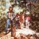 CD Creedence Clearwater Revival - Green River