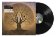 LP AUGUST BURNS RED - SEASON OF SURRENDER