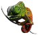 EUGY 3D kartonová skládačka - Chameleon