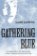 The Giver Quartet: Gathering Blue