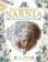 The Chronicles of Narnia Colouring Books