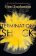 Termination Shock