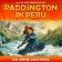 Paddington in Peru Picture Book