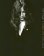 Patti Smith Complete 1975-2006