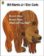 Brown Bear, Brown Bear, What Do You See?