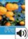 Oxford Read and Discover Level 1 Fruit with Mp3 Pack