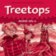 Treetops 4 Class Audio CDs /2/