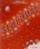 Stardust 1 Activity Book