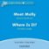 Dolphin Readers 1 Meet Molly / Where is It? Audio CD