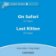 Dolphin Readers 1 On Safari / Lost Kitten Audio CD