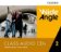 Wide Angle Level 2 Class Audio CDs