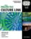New English File Pre-intermediate / Intermediate Culture Link with Audio CD and DVD