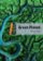 Dominoes 2 - Green Planet, 2nd