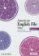 American English File Starter DVD