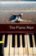 Oxford Bookworms Library 1 The Piano Man (New Edition)