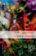 Oxford Bookworms Library 3 A Midsummer Night´s Dream (New Edition)