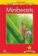 Macmillan Factual Readers 3+ Minibeasts