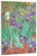 Diář 2026 Van Gogh’s Irises