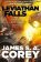 Leviathan Falls : Book 9 of the Expanse