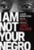 I am Not Your Negro
