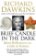 Brief Candle in the Dark: My Life in Science