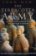 The Terracotta Army