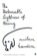 The Unbearable Lightness of Being
