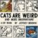 Cats Are Weird
