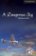 Dangerous Sky Level 6 Advanced