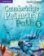 Cambridge Primary Path 5 Teacher´s Edition