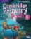 Cambridge Primary Path 6 Teacher´s Edition