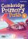 Cambridge Primary Path 4 Flashcards