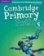 Cambridge Primary Path 5 Grammar and Writing Workbook
