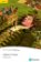 PER. Gulliver´s Travels. Book with Digital Version and audio. Level 2