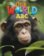 Our World ABC
